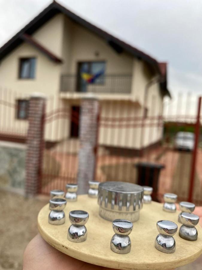 Târgu JiuCasa Brancusianaアパートメント エクステリア 写真