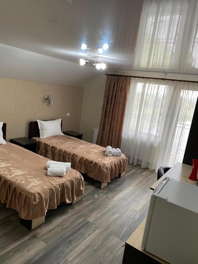 Târgu JiuCasa Brancusianaアパートメント エクステリア 写真