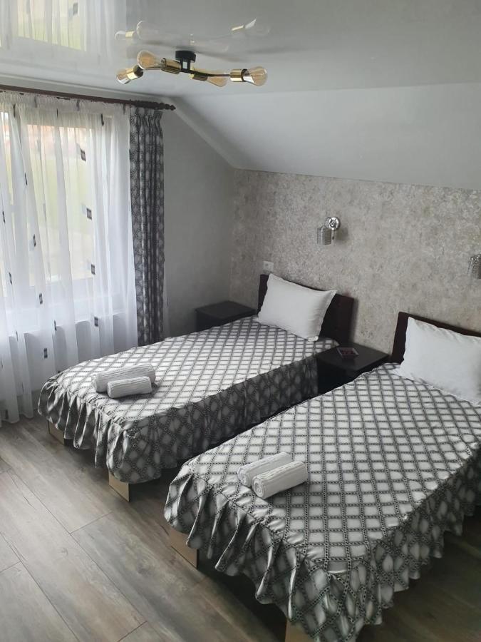 Târgu JiuCasa Brancusianaアパートメント エクステリア 写真