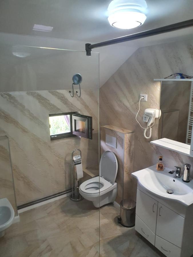 Târgu JiuCasa Brancusianaアパートメント エクステリア 写真