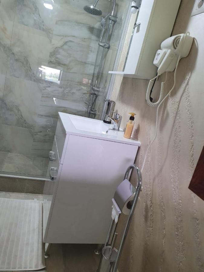 Târgu JiuCasa Brancusianaアパートメント エクステリア 写真