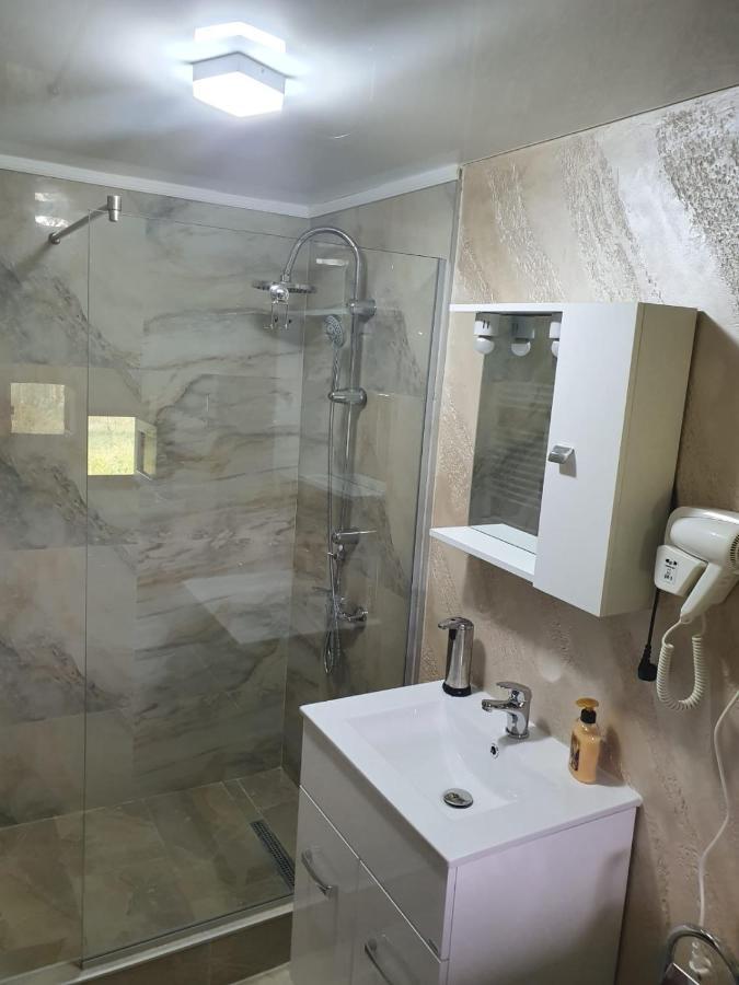 Târgu JiuCasa Brancusianaアパートメント エクステリア 写真