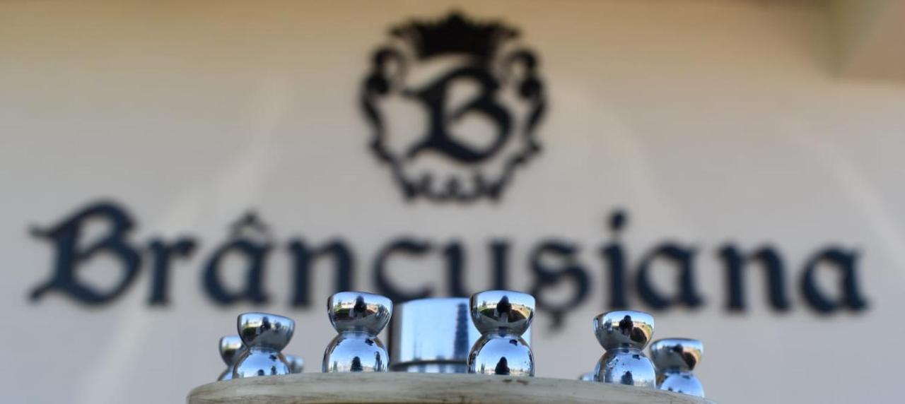 Târgu JiuCasa Brancusianaアパートメント エクステリア 写真