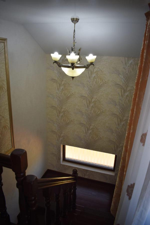 Târgu JiuCasa Brancusianaアパートメント エクステリア 写真