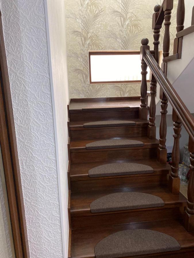 Târgu JiuCasa Brancusianaアパートメント エクステリア 写真