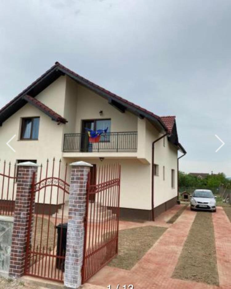 Târgu JiuCasa Brancusianaアパートメント エクステリア 写真